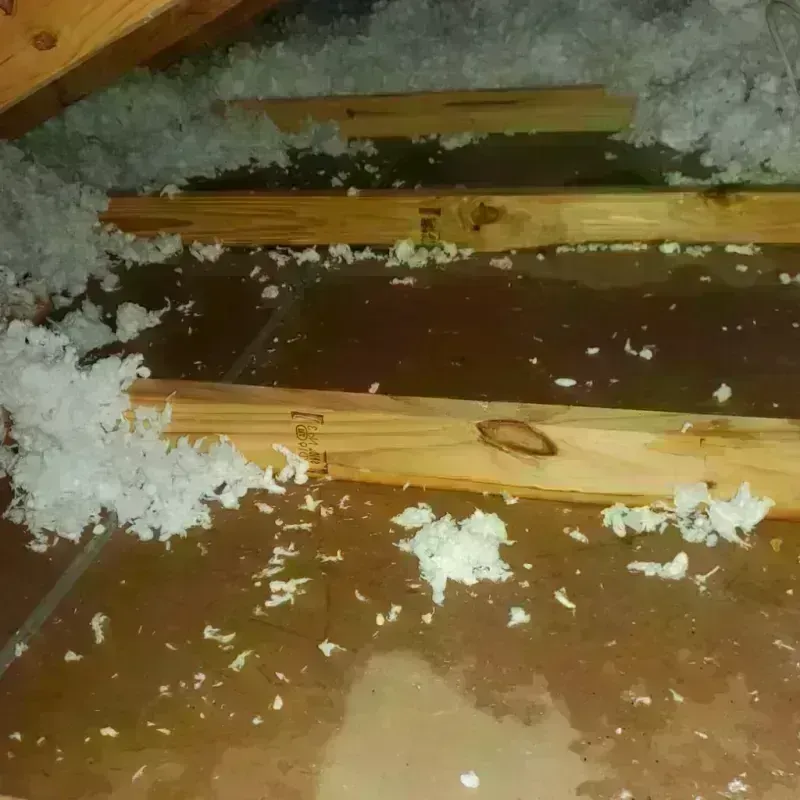 Attic Water Damage in International Falls, MN