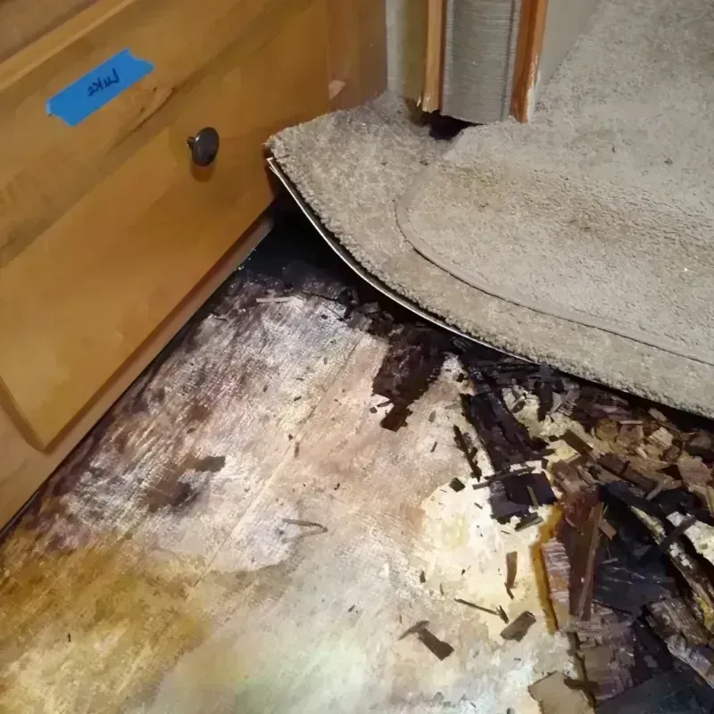 Wood Floor Water Damage in International Falls, MN